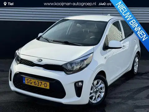 Used KIA PICANTO Petrol 2018 Ad 