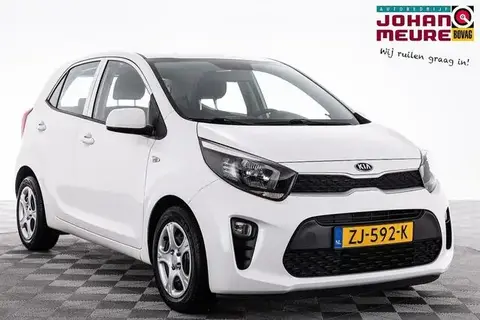 Used KIA PICANTO Petrol 2019 Ad 