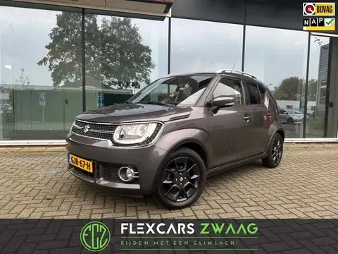 Used SUZUKI IGNIS Petrol 2018 Ad 