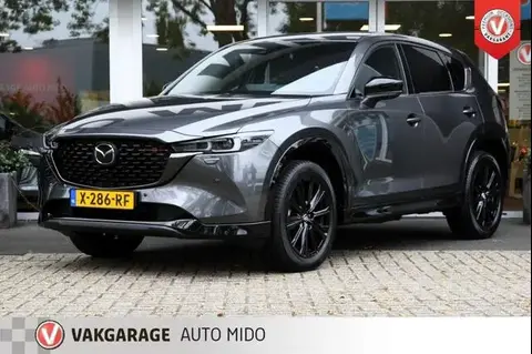 Annonce MAZDA CX-5 Essence 2024 d'occasion 