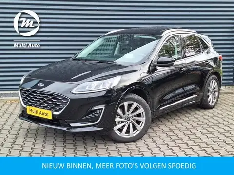 Used FORD KUGA Hybrid 2021 Ad 