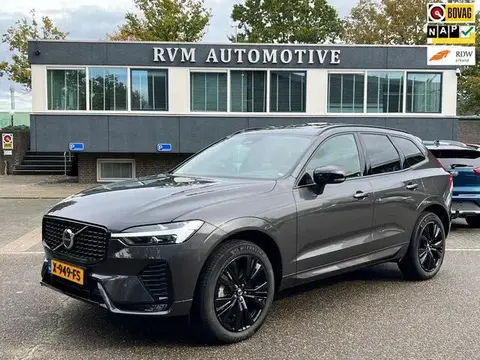 Annonce VOLVO XC60 Hybride 2023 d'occasion 