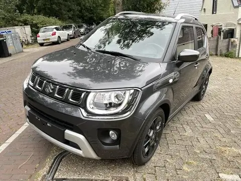 Annonce SUZUKI IGNIS Hybride 2024 d'occasion 