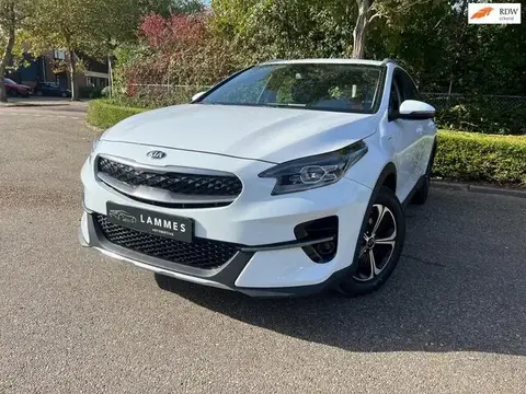 Annonce KIA XCEED Hybride 2021 d'occasion 