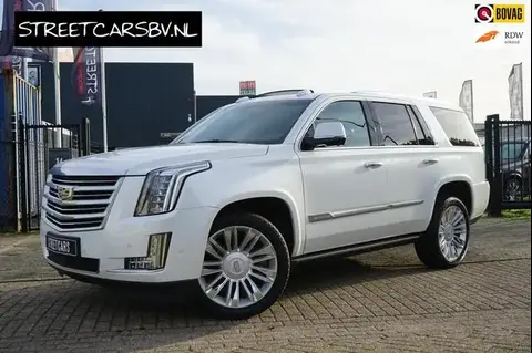 Used CADILLAC ESCALADE Petrol 2017 Ad 