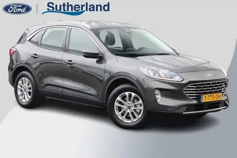 Annonce FORD KUGA Hybride 2023 d'occasion 