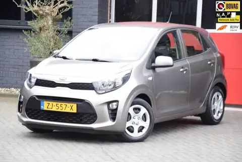 Annonce KIA PICANTO Essence 2019 d'occasion 