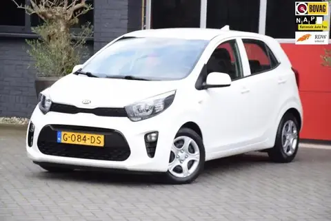 Used KIA PICANTO Petrol 2019 Ad 