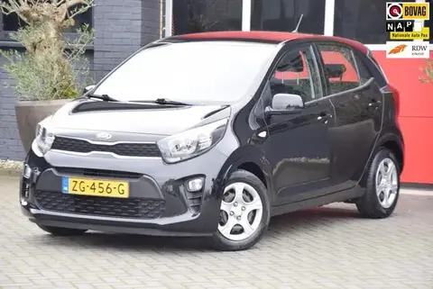 Used KIA PICANTO Petrol 2019 Ad 