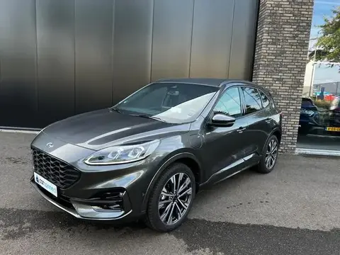 Annonce FORD KUGA Hybride 2024 d'occasion 