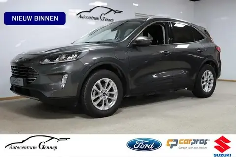 Used FORD KUGA Hybrid 2021 Ad 