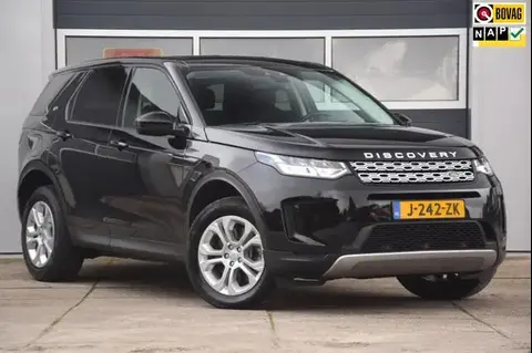 Used LAND ROVER DISCOVERY Hybrid 2020 Ad 