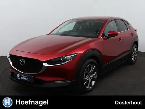 Used MAZDA CX-30 Hybrid 2019 Ad 