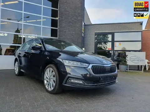 Used SKODA OCTAVIA Hybrid 2021 Ad 