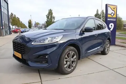 Used FORD KUGA Hybrid 2023 Ad 