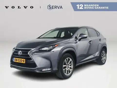 Used LEXUS NX Hybrid 2016 Ad 