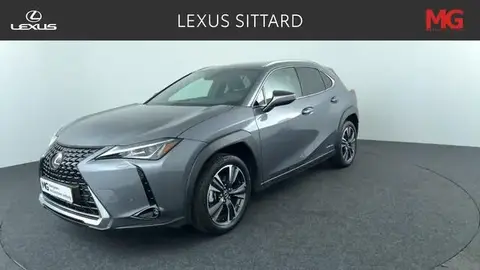 Used LEXUS UX Hybrid 2021 Ad 