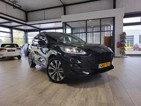 Used FORD KUGA Hybrid 2024 Ad 