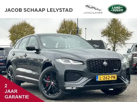 Used JAGUAR F-PACE Hybrid 2021 Ad 