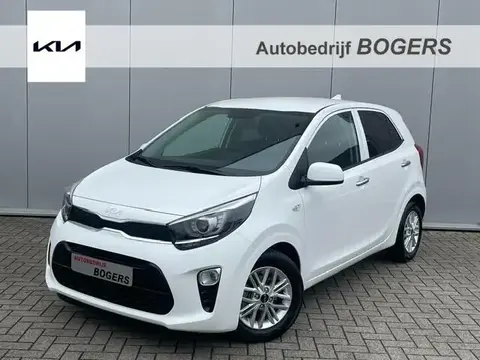 Annonce KIA PICANTO Essence 2024 d'occasion 