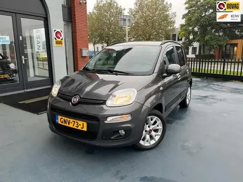 Used FIAT PANDA Petrol 2018 Ad 