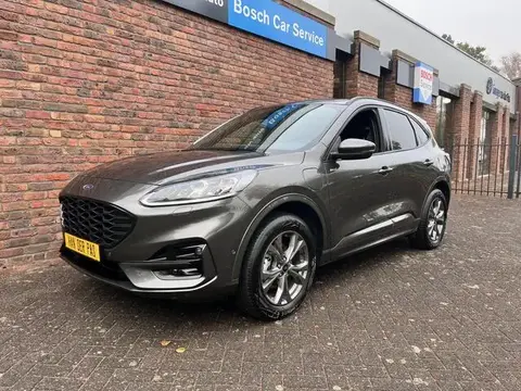 Annonce FORD KUGA Hybride 2023 d'occasion 