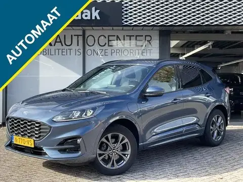 Used FORD KUGA Hybrid 2022 Ad 