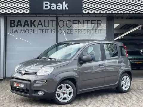 Used FIAT PANDA Petrol 2024 Ad 