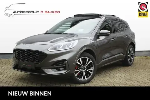 Used FORD KUGA Hybrid 2021 Ad 