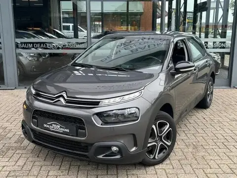 Used CITROEN C4 Petrol 2020 Ad 