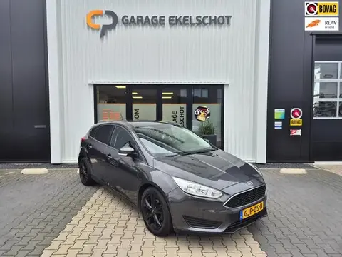 Used FORD FOCUS Petrol 2016 Ad 