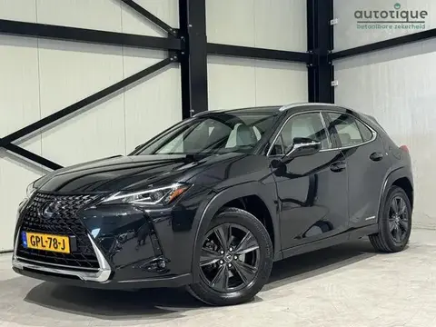 Used LEXUS UX Hybrid 2019 Ad 