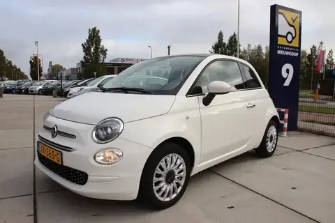 Used FIAT 500 Petrol 2019 Ad 