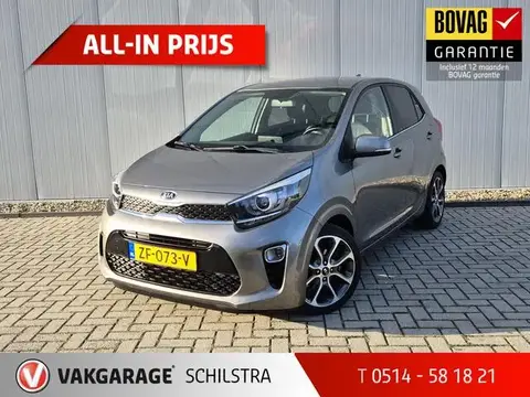 Used KIA PICANTO Petrol 2019 Ad 