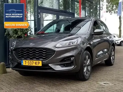 Annonce FORD KUGA Hybride 2023 d'occasion 