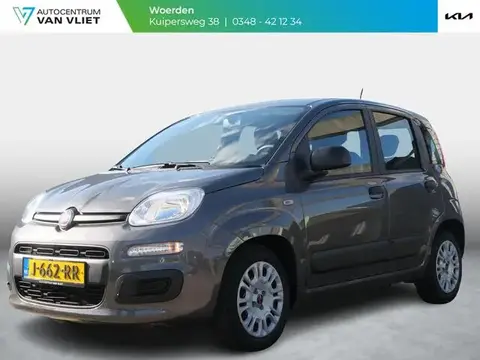 Annonce FIAT PANDA Hybride 2020 d'occasion 