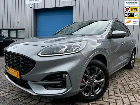 Annonce FORD KUGA Hybride 2021 d'occasion 