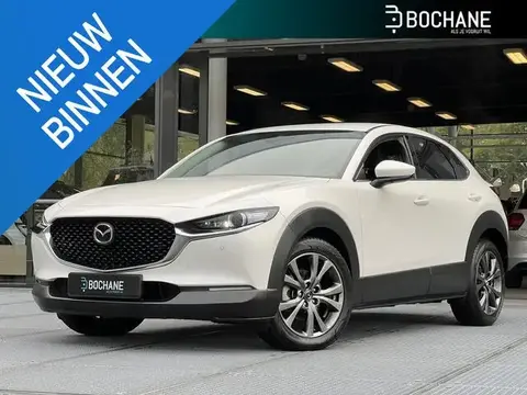 Used MAZDA CX-30 Hybrid 2020 Ad 