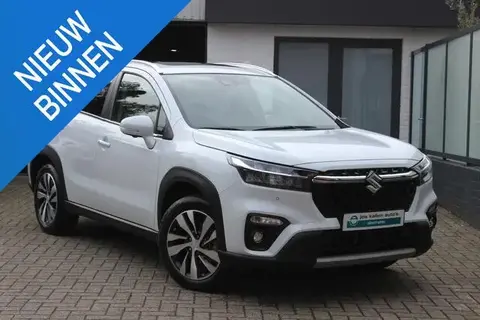 Used SUZUKI S-CROSS Hybrid 2022 Ad 