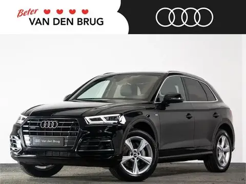 Used AUDI Q5 Hybrid 2021 Ad 