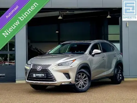 Used LEXUS NX Hybrid 2018 Ad 