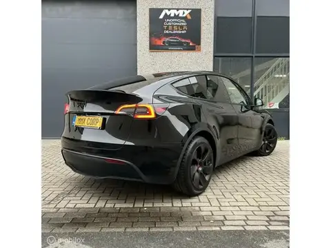 Used TESLA MODEL Y Electric 2023 Ad 