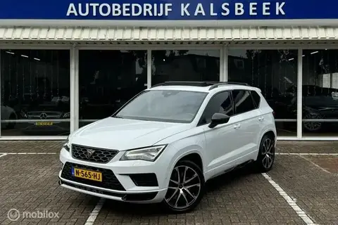 Annonce CUPRA ATECA Essence 2019 d'occasion 