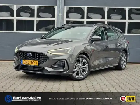 Used FORD FOCUS Hybrid 2023 Ad 