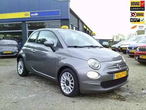 Used FIAT 500 Petrol 2017 Ad 