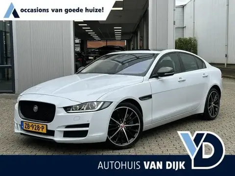 Used JAGUAR XE Petrol 2015 Ad 