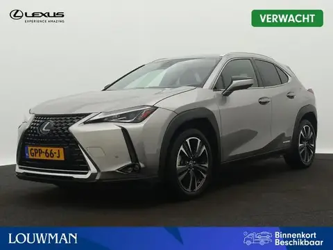 Used LEXUS UX Hybrid 2019 Ad 