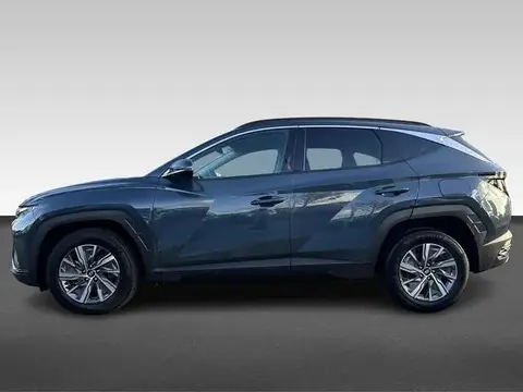 Used HYUNDAI TUCSON Hybrid 2021 Ad 