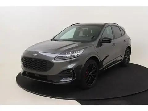 Used FORD KUGA Not specified 2023 Ad 