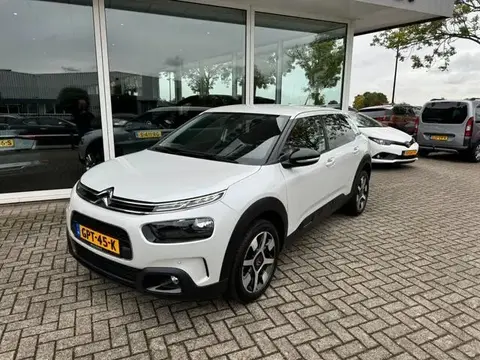 Used CITROEN C4 Petrol 2019 Ad 